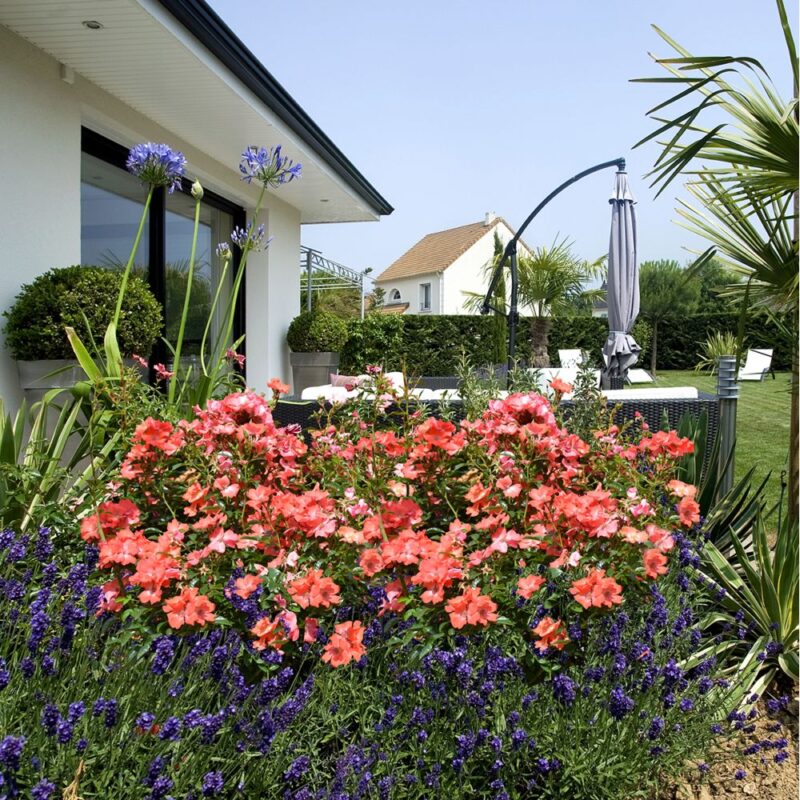 DECOROSIER ISALIA