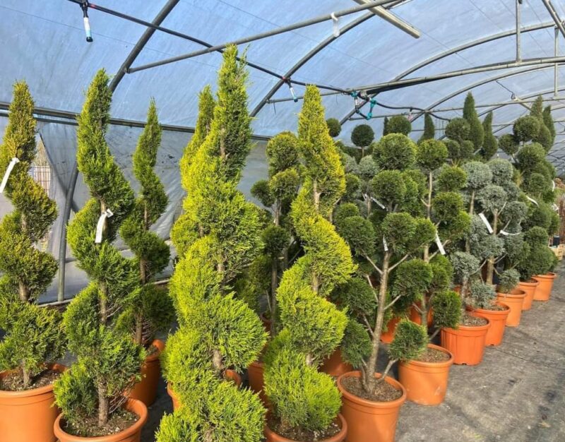 TOPIAIRES