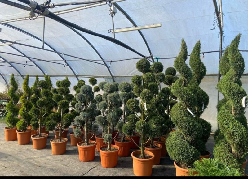 TOPIAIRES