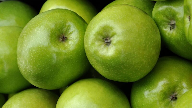 POMMIER GRANNY SMITH